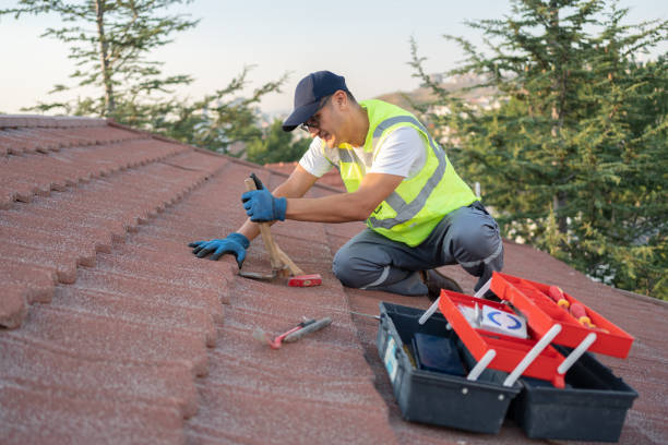 Best Best Roofing Contractors  in Winnebago, IL