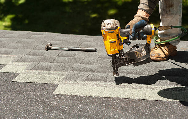 Best Roof Repair Services  in Winnebago, IL
